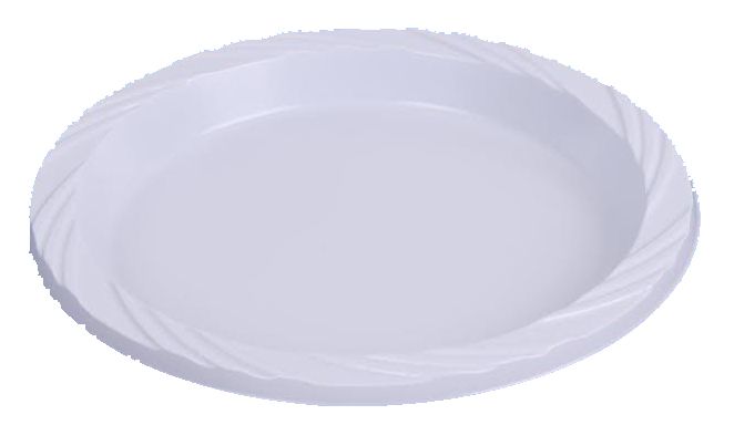 100 American Premium Large 9" Plates