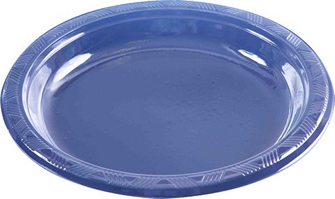 40 Large 9" Clear Plastic Plates