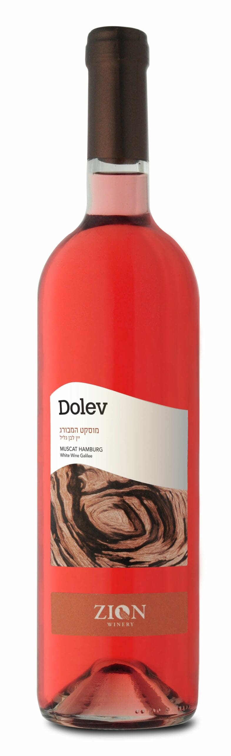 Dolev Muscat Hamburg