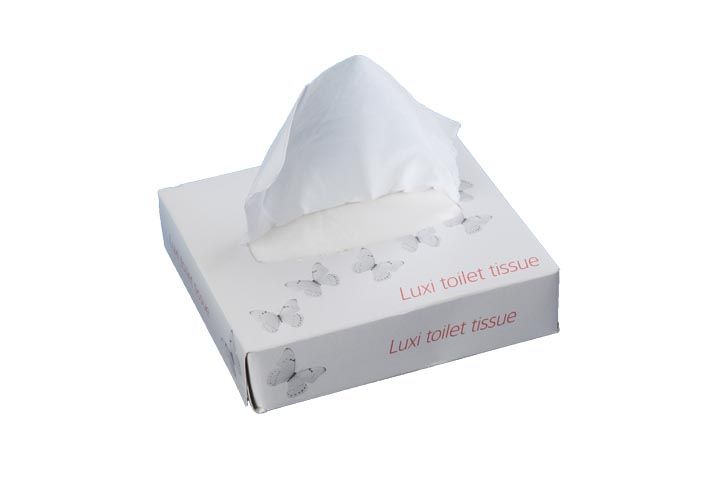 2 Ply PG Luxi Flat Pack Toilet Paper