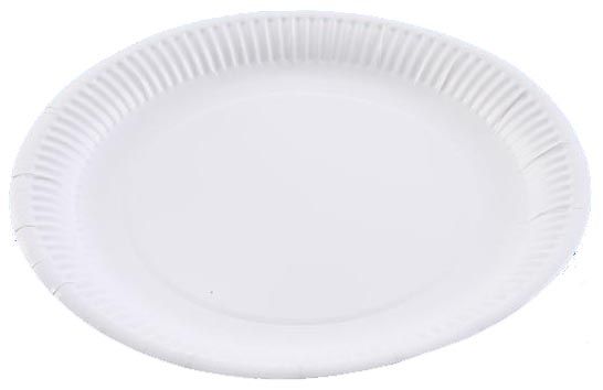 100 Small 7inch Paper Plates